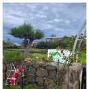 프라우드 제주 이미지