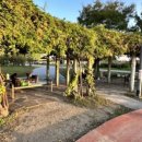 제일게임장 이미지