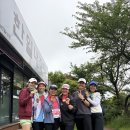 (주)평화의섬-제주 | 2026 제주 평화의 섬 국제 마라톤 대회 후기, 하프 완주, 코스