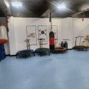 용인대용전태권도 이미지