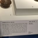 순천-27호 | 전라남도 민속문화재 제 27호 성황신 김총 영정