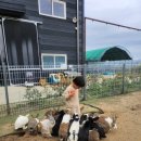 지누농장 이미지