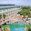 신화위생산업 | 호캉스 서귀포 호텔 이국적 야자수 뷰에 반했던 그랜드조선 제주 할인 예약 안내