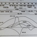 사과나무의 생활사 이미지