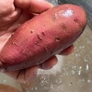 태기농장 이미지