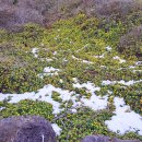 꼬지이야기 이미지