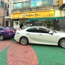 야옹아 놀자 | 인천 고양이카페 호텔 야옹아놀자 연수점 무마취미용 후기