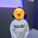 동두천 충효태권도장 이미지