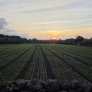 무무별장 이미지