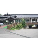 엉게나무 이미지