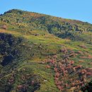 산정호수 이미지