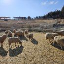 병목목장 이미지