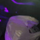 참새방아깐 이미지