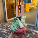 군포 애견동반 카페 크레모 젤라또 내돈내산 후기 당정동 한세대 카페 추천