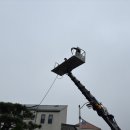효승환경