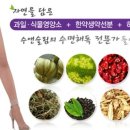 자연을담은생약 이미지