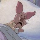 연경동물병원 이미지