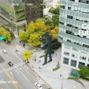 태광케미칼산업 이미지