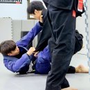 한국인삼연초연구소