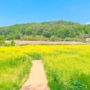 용동공원1 이미지