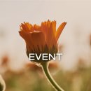 지혜슈퍼 - 용인시 기흥구 신갈로84번길 15-11 | [EVENT] 슈퍼푸드 크림 100주년! 벨레다 슈퍼푸드 크림 체험단 모집