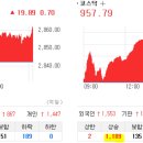 디와이텔레콤 이미지