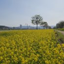 원조밀면 이미지