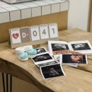 제주삼각집 이미지