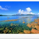 프레시베이 이미지