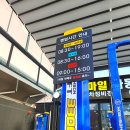 문일카센타 이미지