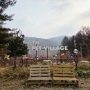 위드펫(with pet) | 강원도 횡성 애견동반 펜션 [ 위드펫빌리지 ] 그린룸 50평 독채 풀빌라 + 사우나 + 스파 + 앞마당