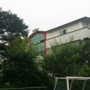 삼오유치원 이미지