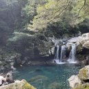 원앙목장 이미지