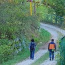 문수산 금강소나무 숲을 찿아오신분 이미지