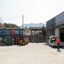 법인청년농업