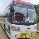 대일관광여행사 이미지