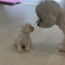 워킹포드림 이미지