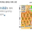 예인피부관리 이미지