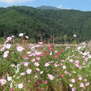 매동둘레길 입구 이미지