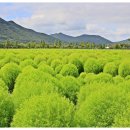 황산공원 이미지