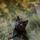두리동물클리닉 이미지