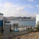 동영콜드프라자 이미지