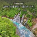 하루하루팜 | 여름 비에이 투어 팜토미타부터 청의호수까지 하루 코스로 다녀온 후기