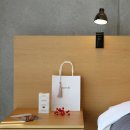 소로 소로 이미지