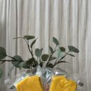 안지아로 수제간식 이미지