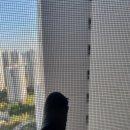 안심에스엘 이미지