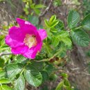 자모목장 이미지