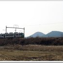 주라위삼거리 네이버블로그