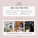 늘푸른도서관 | [도서관 샌드아트] 전북 군산 늘푸른 도서관 독서주간 샌드아트 공연