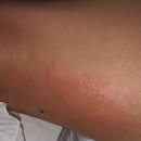 백천기계 - 2604 | 임신 중기 후기 기록 (21주차~) | 초음파 증상 산전필라테스 임산부 일상